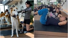Dog Pilates: Bienestar y conexión con tu lomito