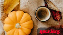 Agenda imperdible: planes para salir en CDMX con comida, arte y adrenalina