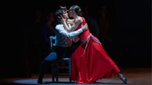 Carmen de Antonio Gades llega indomable al Palacio de Bellas Artes