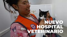 ¡Lleva a tu lomito! Abren Hospital Veterinario en la Central de Abasto: checa sus servicios sin costo