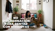 ¿Rentas en CDMX? Habrá protección a inquilinos con mascotas y registro digital de contratos