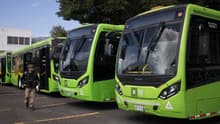 CDMX adquirirá 390 nuevos autobuses de RTP con recursos de licencia permanente: Brugada