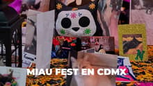 Miau Fest tendrá edición especial de dos días con talleres, pasarela de mininos y megaofrenda; cuándo y dónde