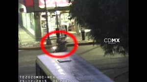 Detienen a ratas después de asaltar OXXO