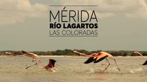 Río Lagartos #DeViaje