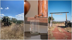 Más allá del tequila y el mezcal: Conoce este destilado de pulque de Nopala de Villagrán