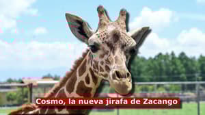 example