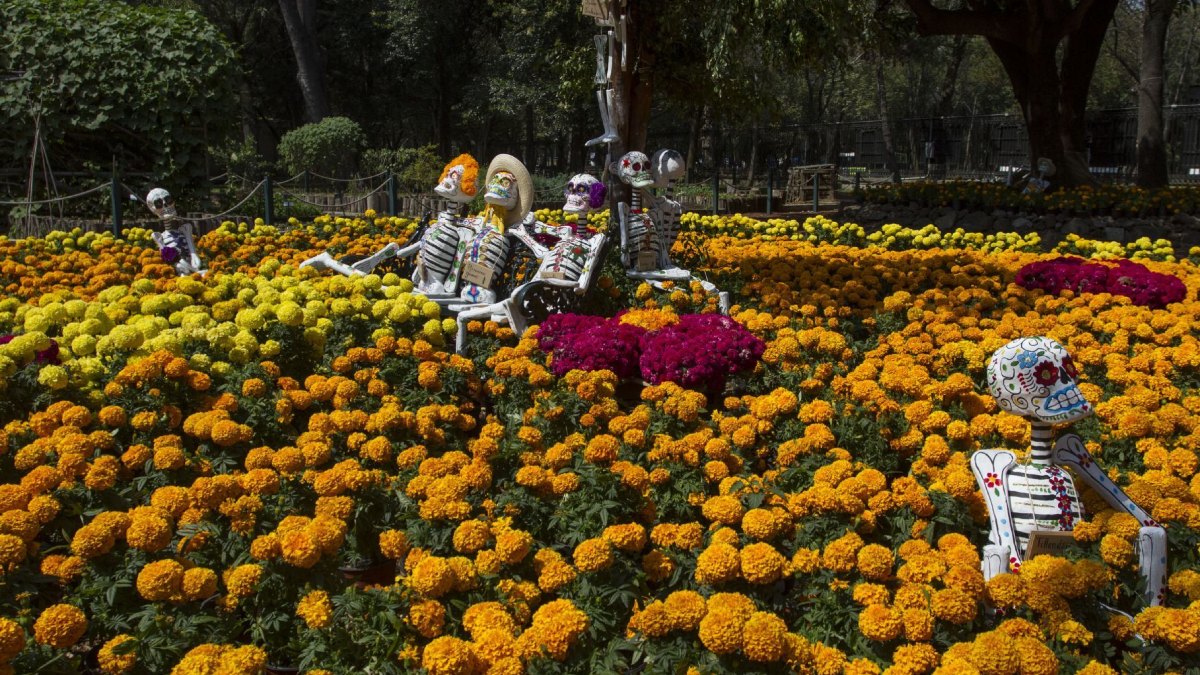 Chapultepec lanza concurso de ofrendas por Día de Muertos: cómo participar y cuáles son los premios