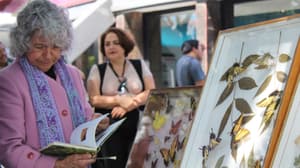 Descubren nueva especie de luciérnaga en Chapultepec: así puedes elegir su nombre