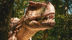 Talleres, dinosaurios y fósiles: checa estos planes para niños y niñas en Universum