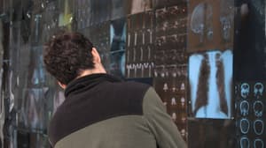 De las radiografías como arte a los fanzines queer en el Museo Universitario del Chopo