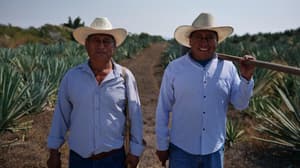 Mezcal de Edomex obtiene Denominación de Origen 2025: ¿qué significa?