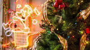 Expo Navidad Forestal 2025 llega al Edomex: árboles, nochebuenas, adornos y todo para decorar tu casa