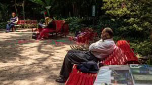 Slow living: es momento de frenar