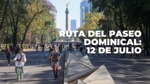 Paseo Dominical tendrá modificaciones en su ruta por el Medio Maratón 2026 de CDMX
