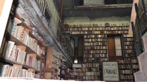 La librería de viejo más antigua de CDMX y su cara oculta 
