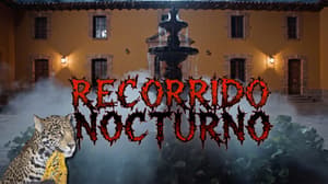 example