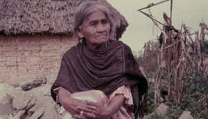 María Sabina da nombre a la nueva luciérnaga de Chapultepec: así se llama científicamente