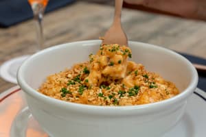Madre Café /terrazas para desayunar en cdmx