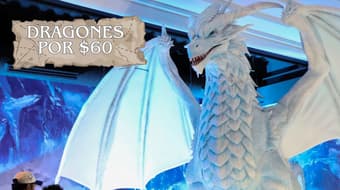 Lánzate a ver dragones gigantes por $60: Cuándo, dónde y todo lo que debes saber