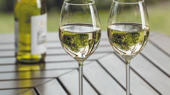 Semana del Vino Mexicano: para enamorarse de nuestros viñedos