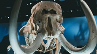 Habrá Noche de Museos en el Edomex: disfruta de ciencia y naturaleza bajo las estrellas