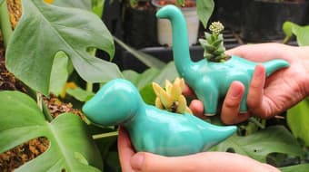 Regresa el festival de plantas a la CDMX: fechas y horarios del Plant Fest 2025