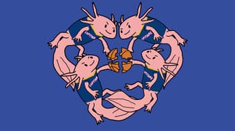 Noche de inclusión con Capitanes y Teletón