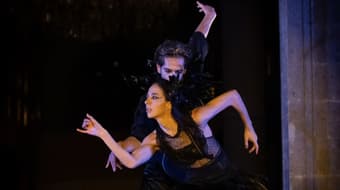 El cisne negro en el Castillo de Chapultepec con 40% de descuento en boletos; fechas y horarios