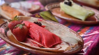 Feria del Tamal Vegano 2026 en CDMX: tamales y atoles en compañía de tu mascota