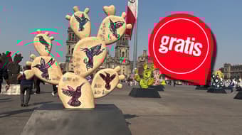 Cientos de nopales llegan al Zócalo CDMX: así es la nueva expo GRATIS