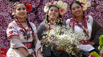 Participa en La Flor Más Bella del Ejido 2026 y celebra tus raíces: requisitos, fechas y premios