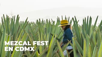 Mezcal Fest 2026 en CDMX: mezcalito, arte, música y buena onda