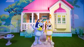 ¡Wackadoo! La Casa de Bluey llega a CDMX en forma de aventura inmersiva; cuándo y dónde