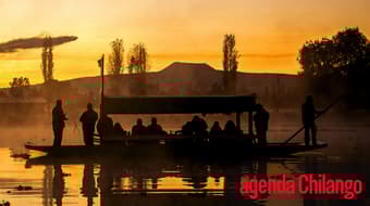 De teatro a micheladas: conoce estos 7 planes para divertirse en CDMX esta semana