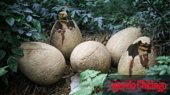 Dinosaurios, flores y muchas opciones para descubrir en la CDMX esta semana