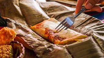 Tamales, atole y tostadas: así será el Festival Tabasco en Chapultepec CDMX