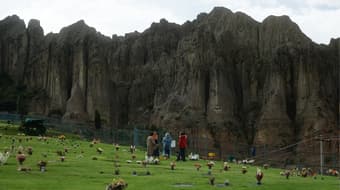 Me niego rotundamente: un árbol genealógico de la violencia hacia la mujer