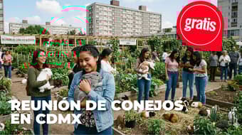 Lánzate a la reunión de conejos y cuyos en la CDMX: habrá bazar, snacks y convivencia