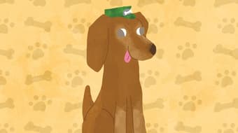 Reclutas, veteranos y una misión: así opera el Escuadrón Salchicha