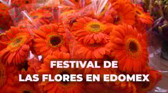 ¿Sin plan? Lánzate al Festival de las Flores 2026 en Tenancingo: habrá música, comida y más