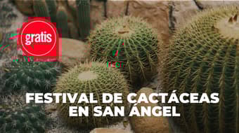 Festival de las Cactáceas GRATIS en San Ángel: plantas, talleres y más 🌵