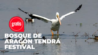 Festival de aves en Bosque de Aragón tendrá recorridos guiados y actividades para niños