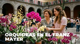 ¿Sin regalo para mamá? Lánzate por orquídeas al Museo Franz Mayer, CDMX