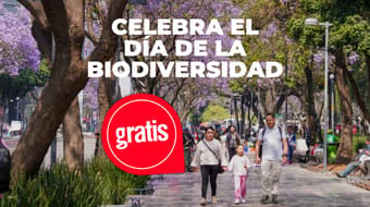 Talleres, charlas y biodiversidad: regresa el Zócalo de las Ciencias a CDMX; fecha y sede