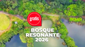 BOSQUE RESONANTE, un diálogo entre música y espacio en Casa del Lago  