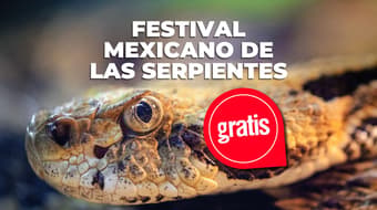 Habrá un festival de serpientes en CDMX y sí, podrás ver ejemplares vivos: fechas y lugar 