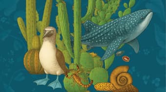 Ciencia rara en México: el libro para descubrir los misterios naturales del país, estado por estado