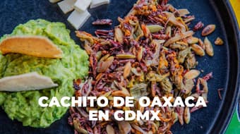 Un pedacito de Oaxaca en Tlalpan: así se come en este lugar de CDMX