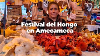 ¿Cuándo es el Festival del Hongo de Amecameca? Habrá degustaciones, conciertos gratis y más
